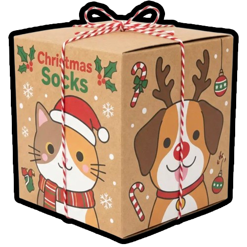 Chrismtas Gift Packaging